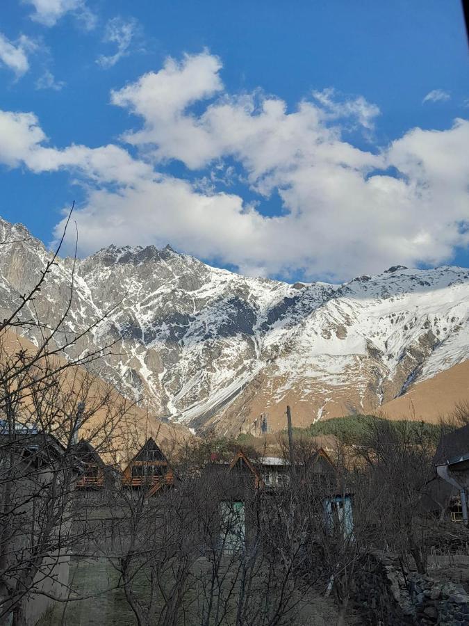 Appartement Emotion Kazbegi Extérieur photo