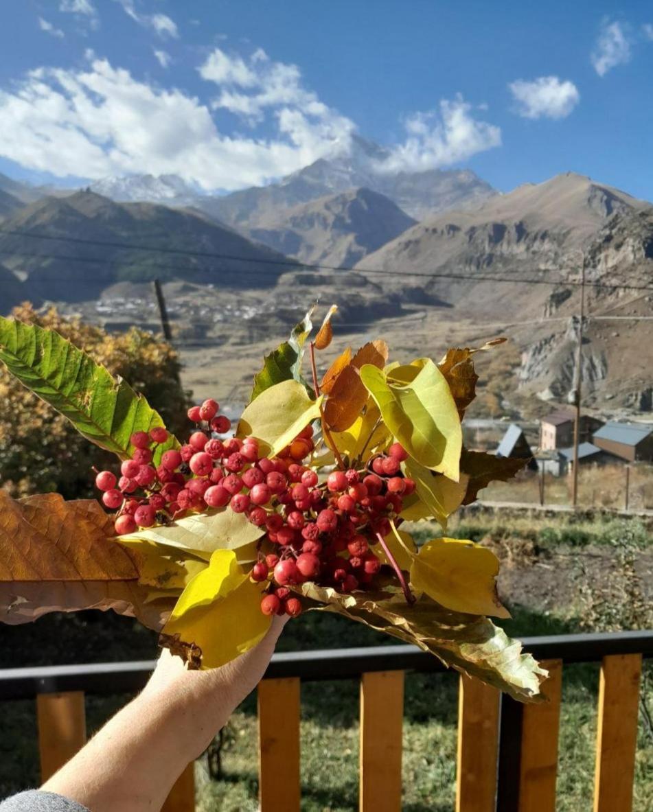 Appartement Emotion Kazbegi Chambre photo