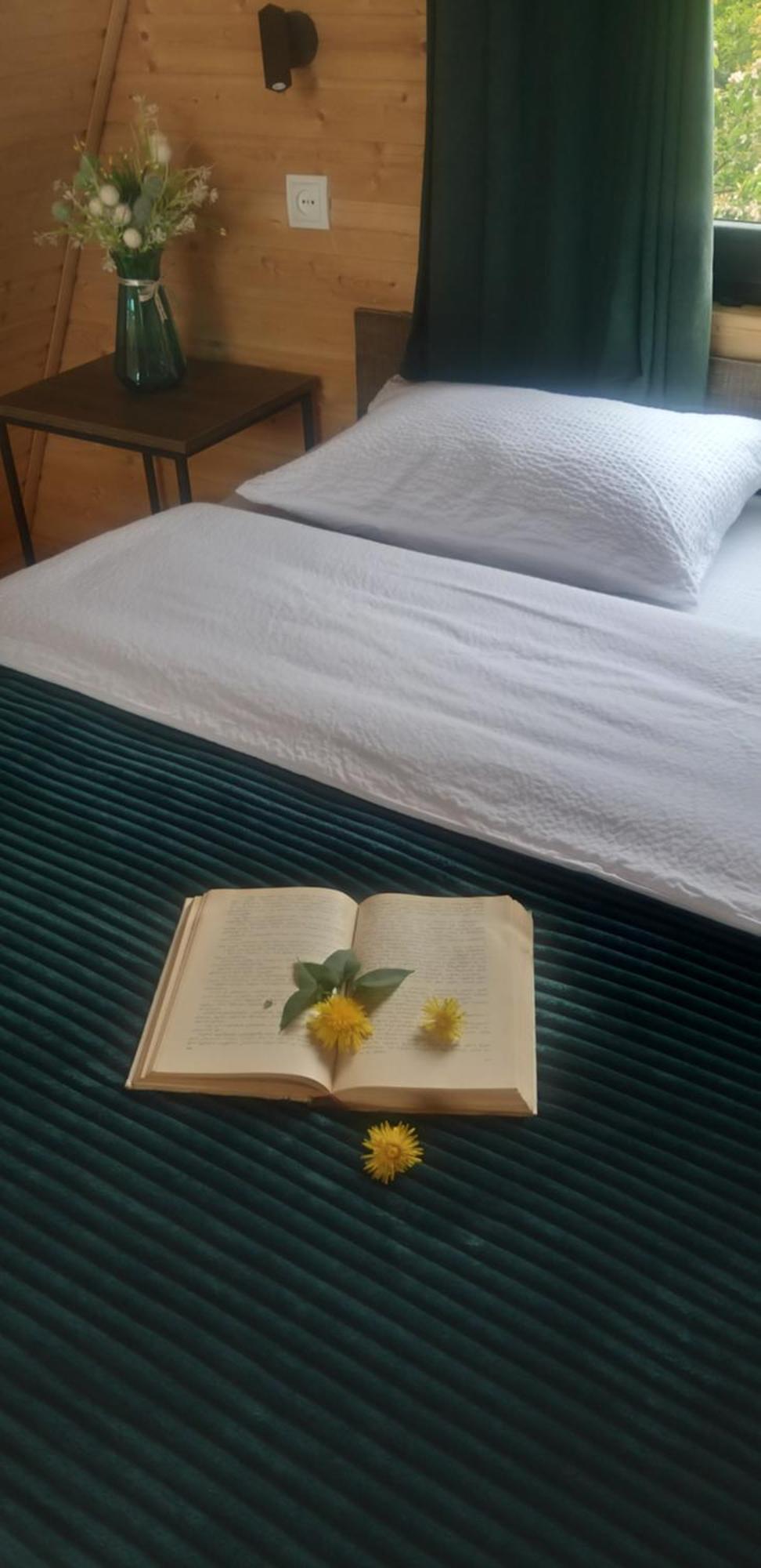 Appartement Emotion Kazbegi Extérieur photo